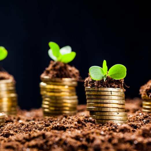 Golden coins in soil with young plant. Money growth concept. Golden coins in soil with young plant. Money growth concept.